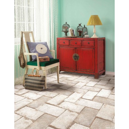 Cir Havana Sugar Cane