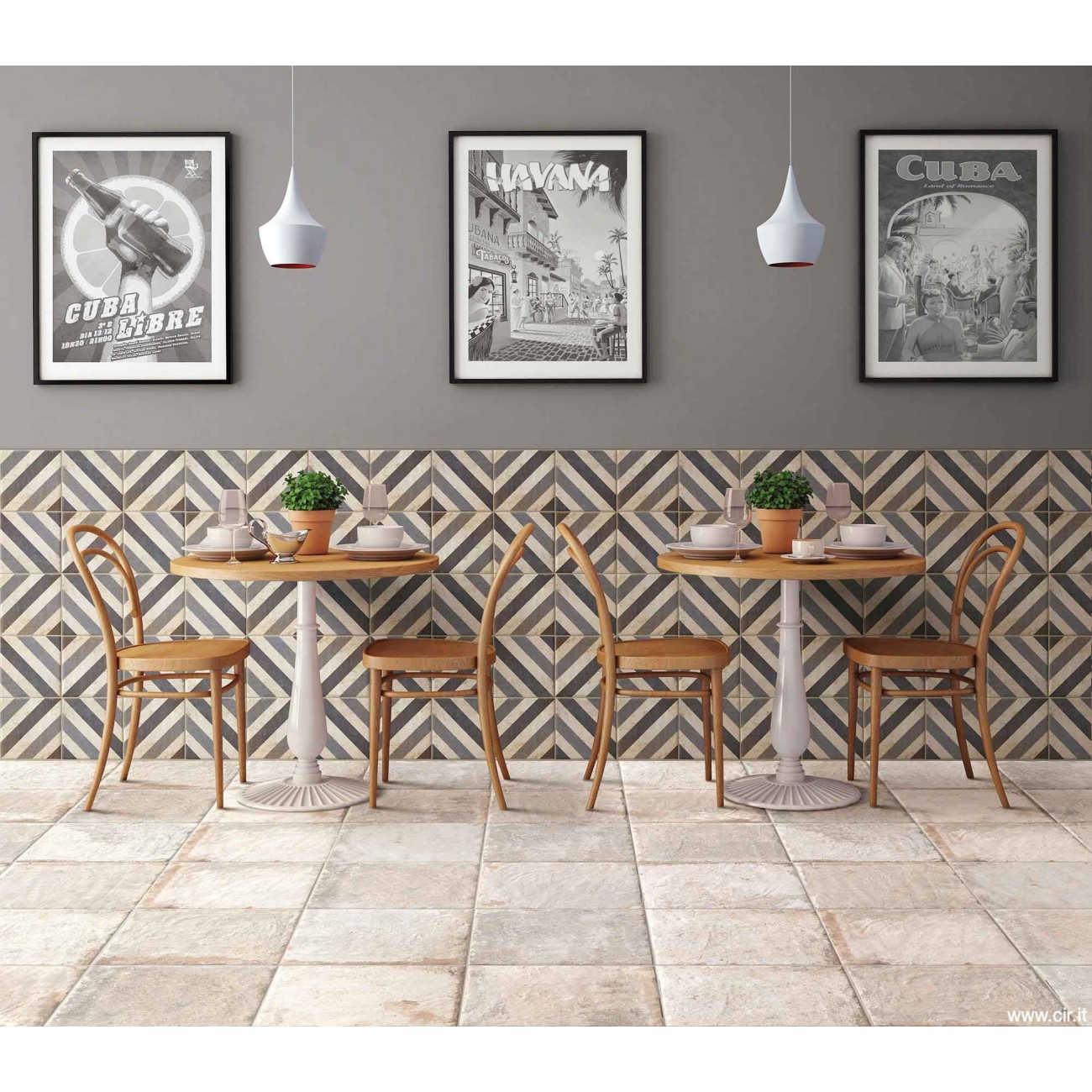 Cir Havana Sugar Cane