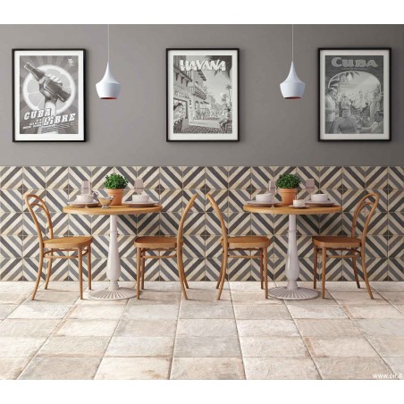 Cir Havana Sugar Cane