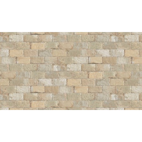 Cir Havana Tropicana