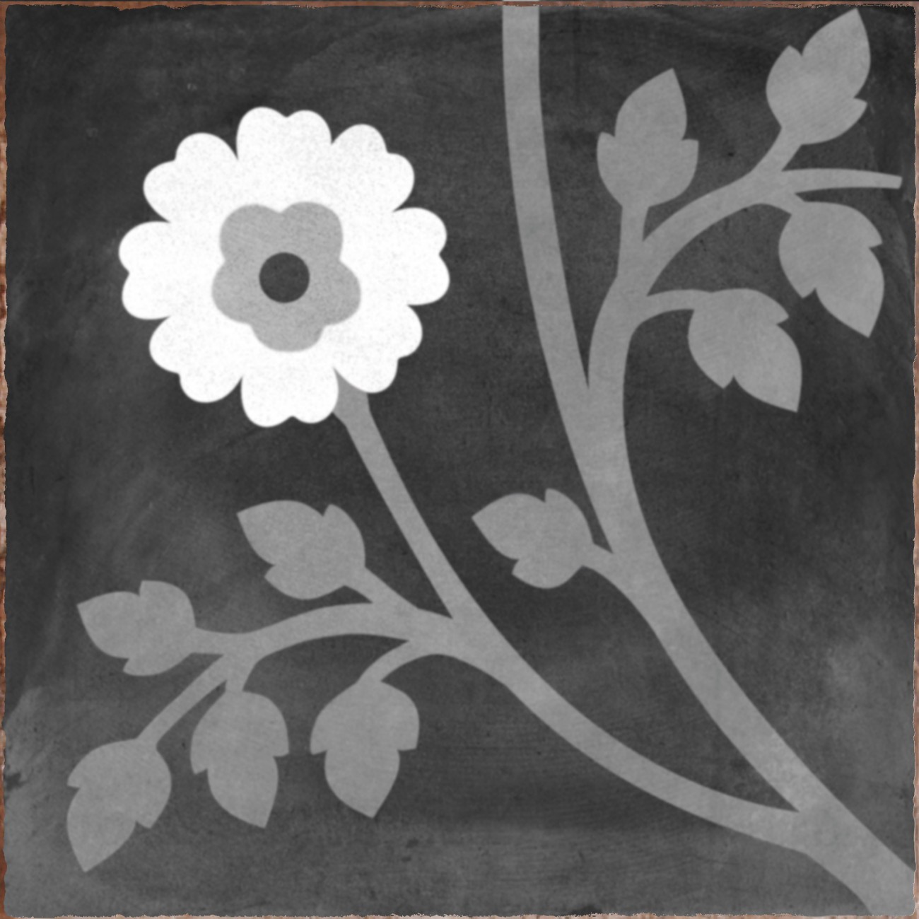 Cir Havana Inserto Paloma S/8