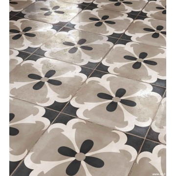 Cir Havana INSERTO PALOMA F