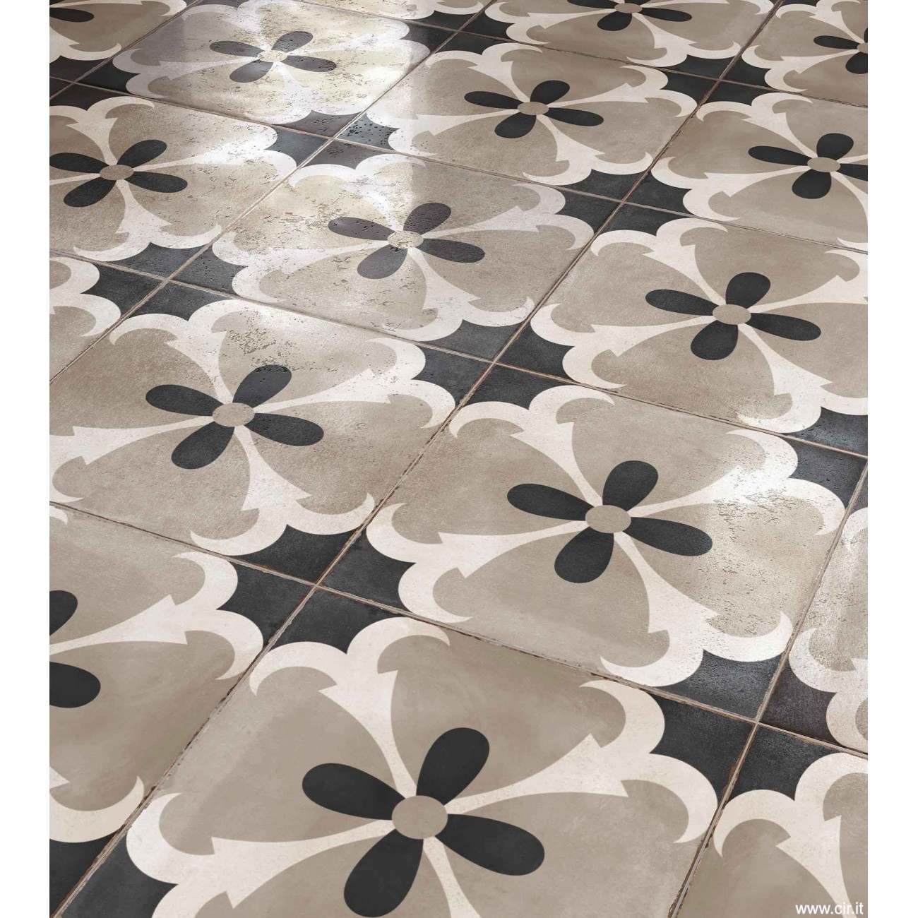 Cir Havana INSERTO PALOMA F