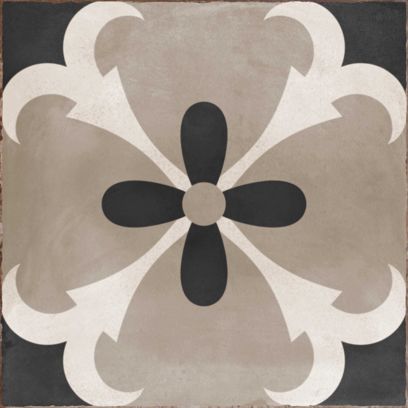 Cir Havana INSERTO PALOMA F