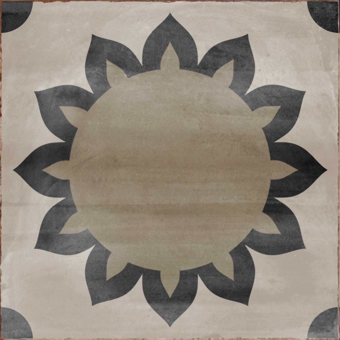 Cir Havana INSERTO PALOMA S