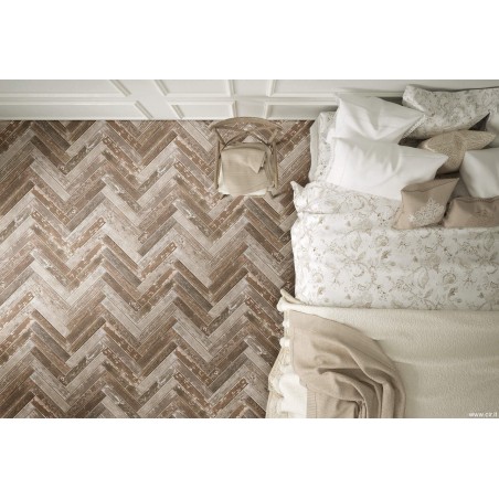 Cir KENTUCKY AMERICAN ELM