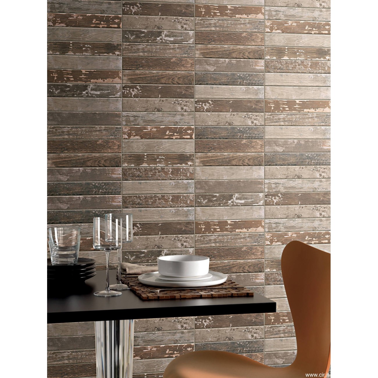 Cir KENTUCKY AMERICAN ELM