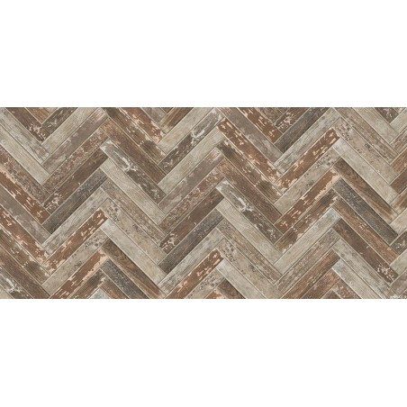 Cir KENTUCKY AMERICAN ELM