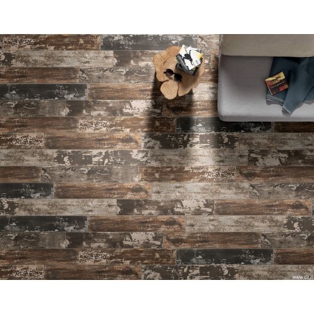 Cir KENTUCKY SASSAFRAS