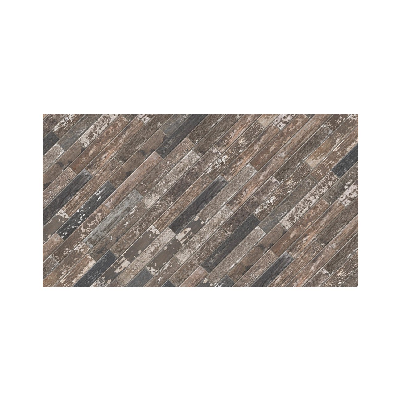 Cir KENTUCKY SASSAFRAS