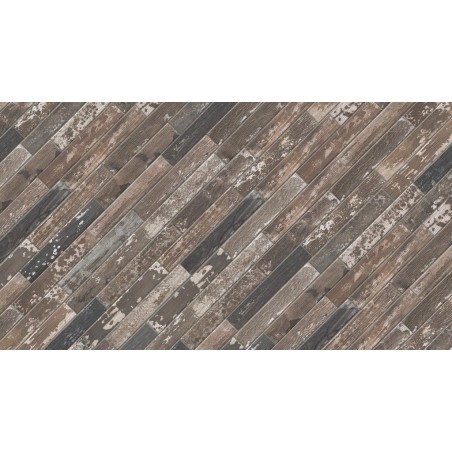 Cir KENTUCKY SASSAFRAS