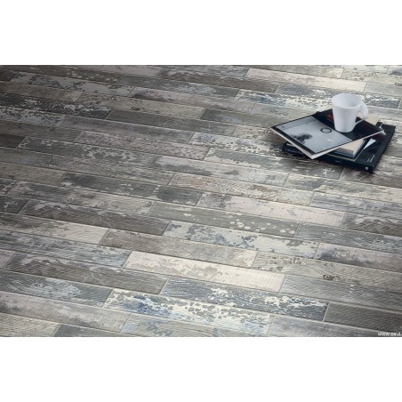 Cir KENTUCKY LEXINGTON