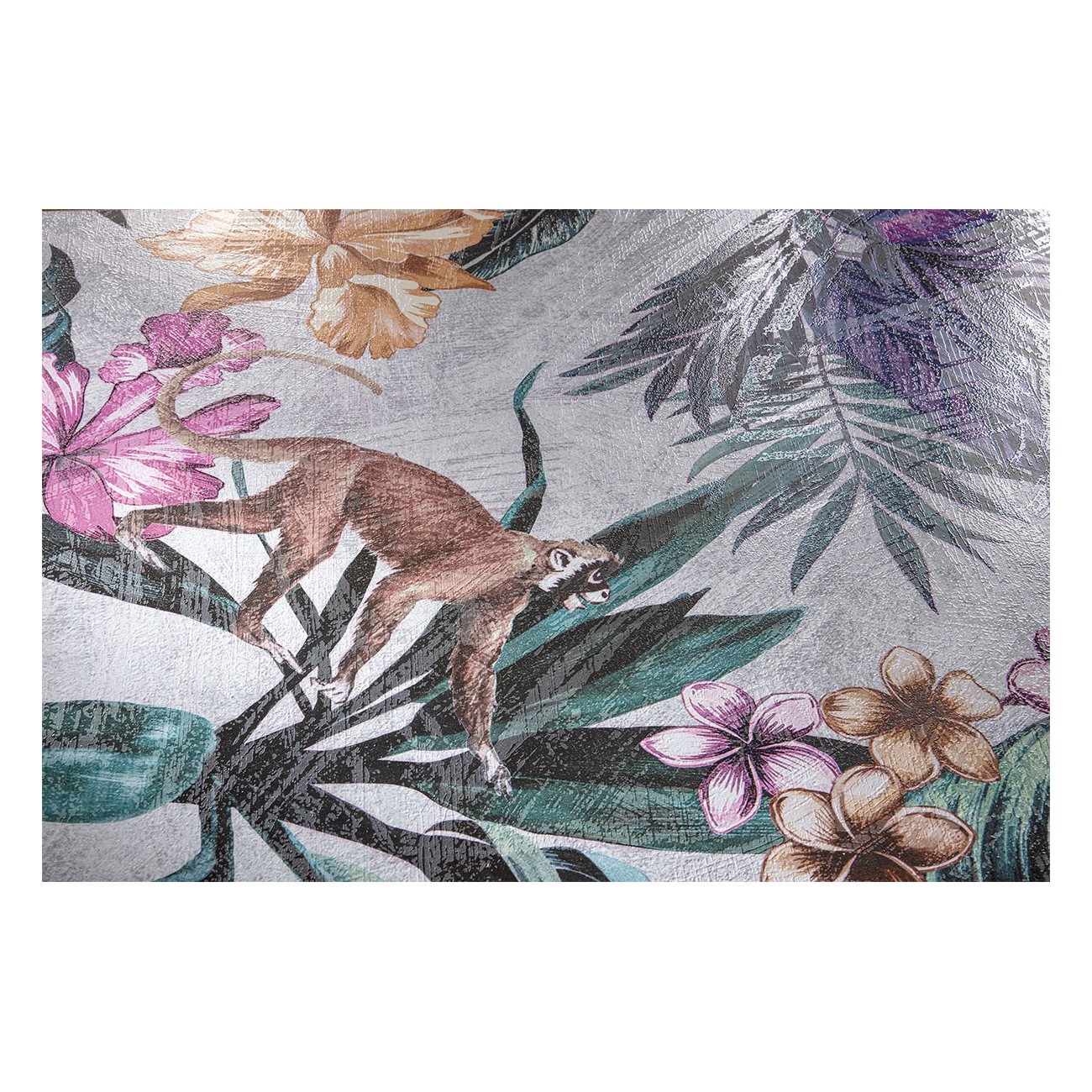 Cir shoWall MONKEY WALL 15