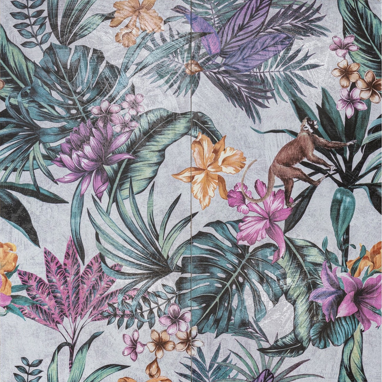 Cir shoWall MONKEY WALL 15