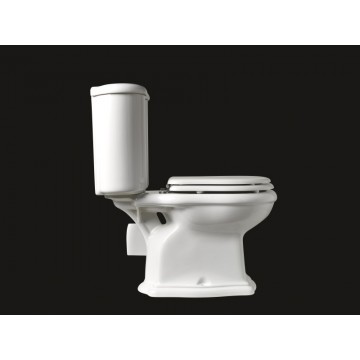 BTW Monobloc Wc with Wall Drain Axa Contea