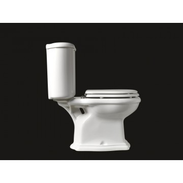 Vaso Monoblocco con Scarico a Pavimento Axa Contea