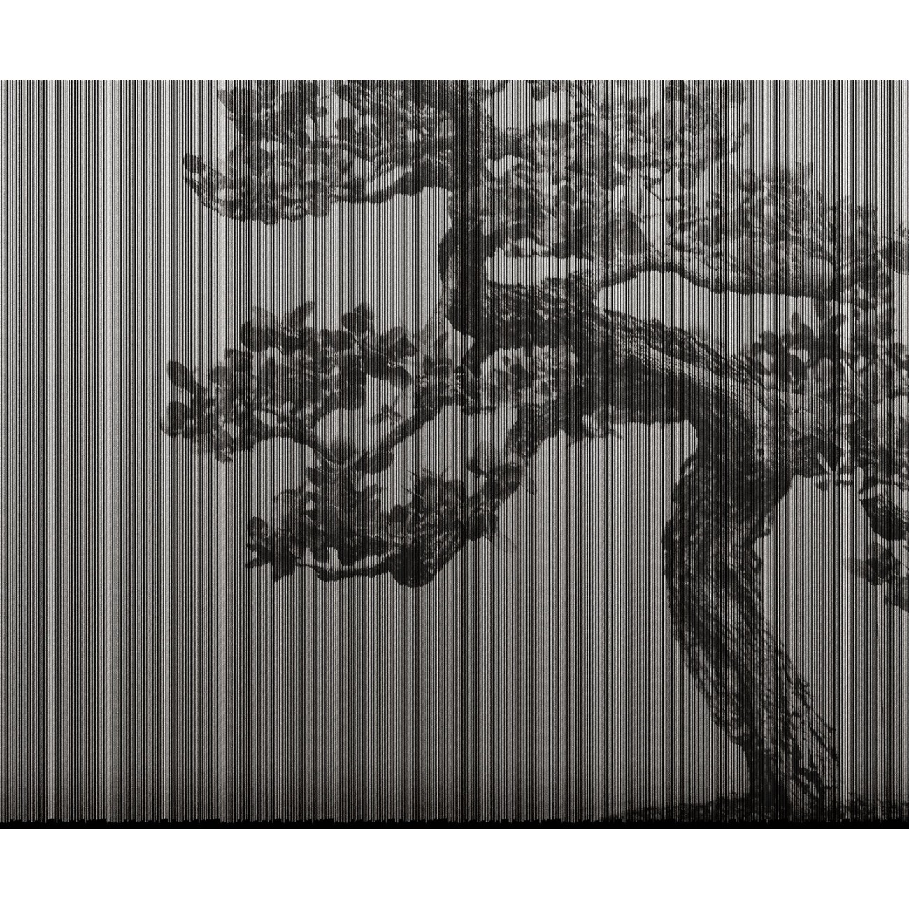 LondonArt PLAGUE 01 Collection 20