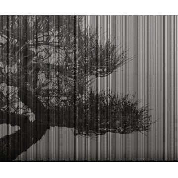 LondonArt PLAGUE 02 Collection 20