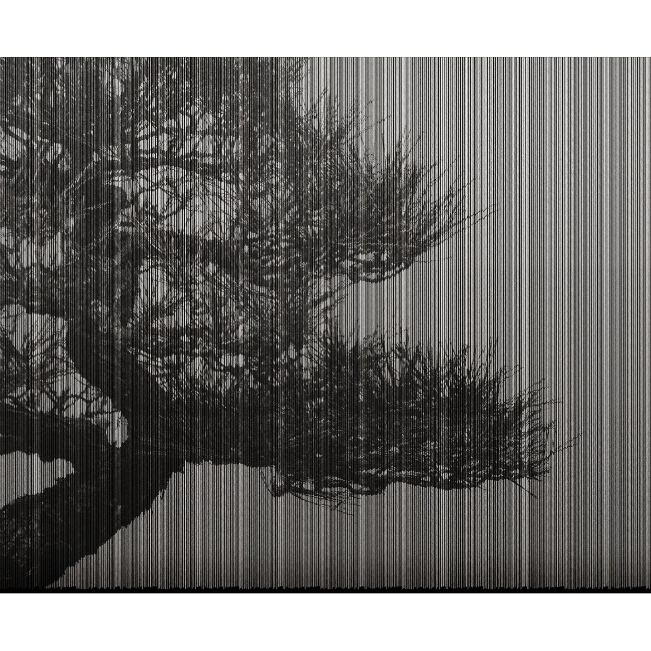 LondonArt PLAGUE 02 Collection 20