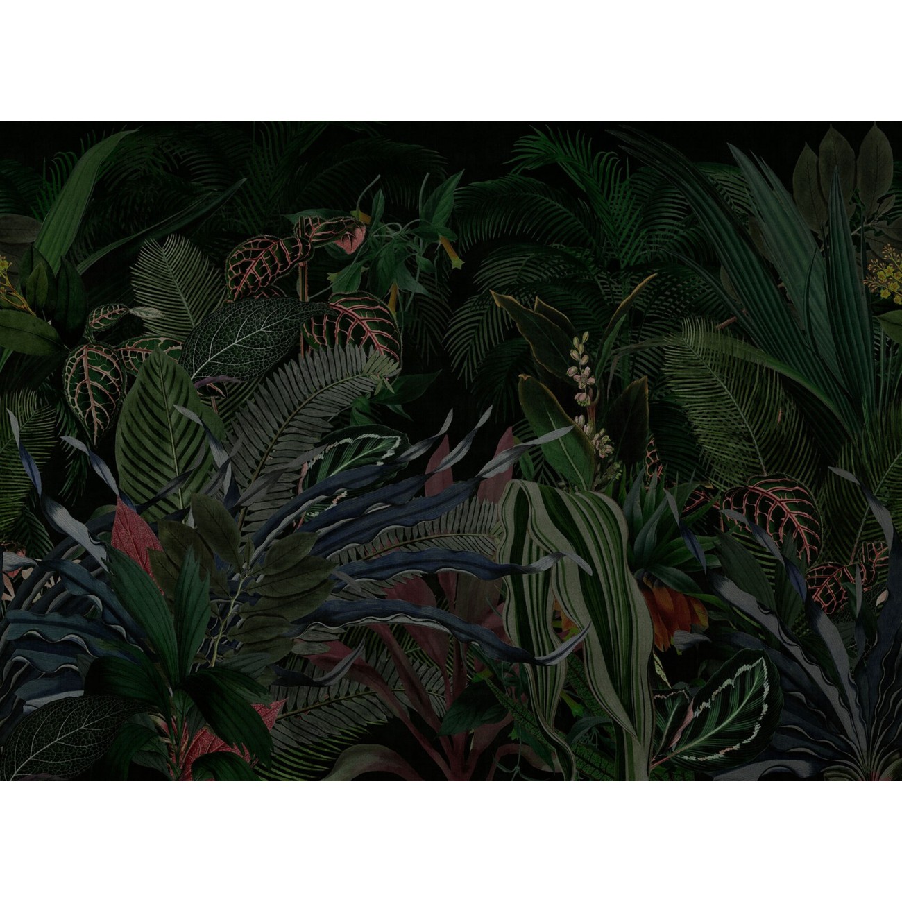 LondonArt LOST PARADISE 02 Collection 19