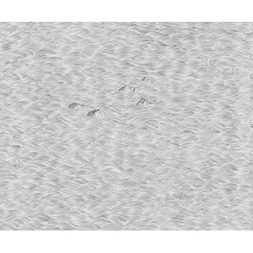 LondonArt MAR D'ORIENT 02 Collection 18