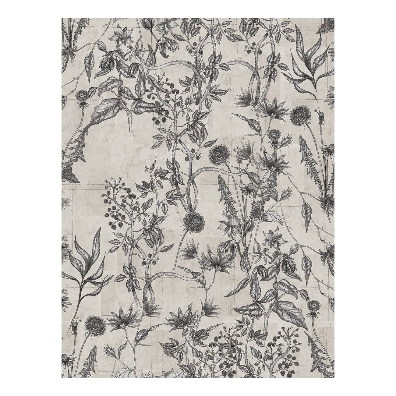 LondonArt WILD FLOWER 01 Collection 18