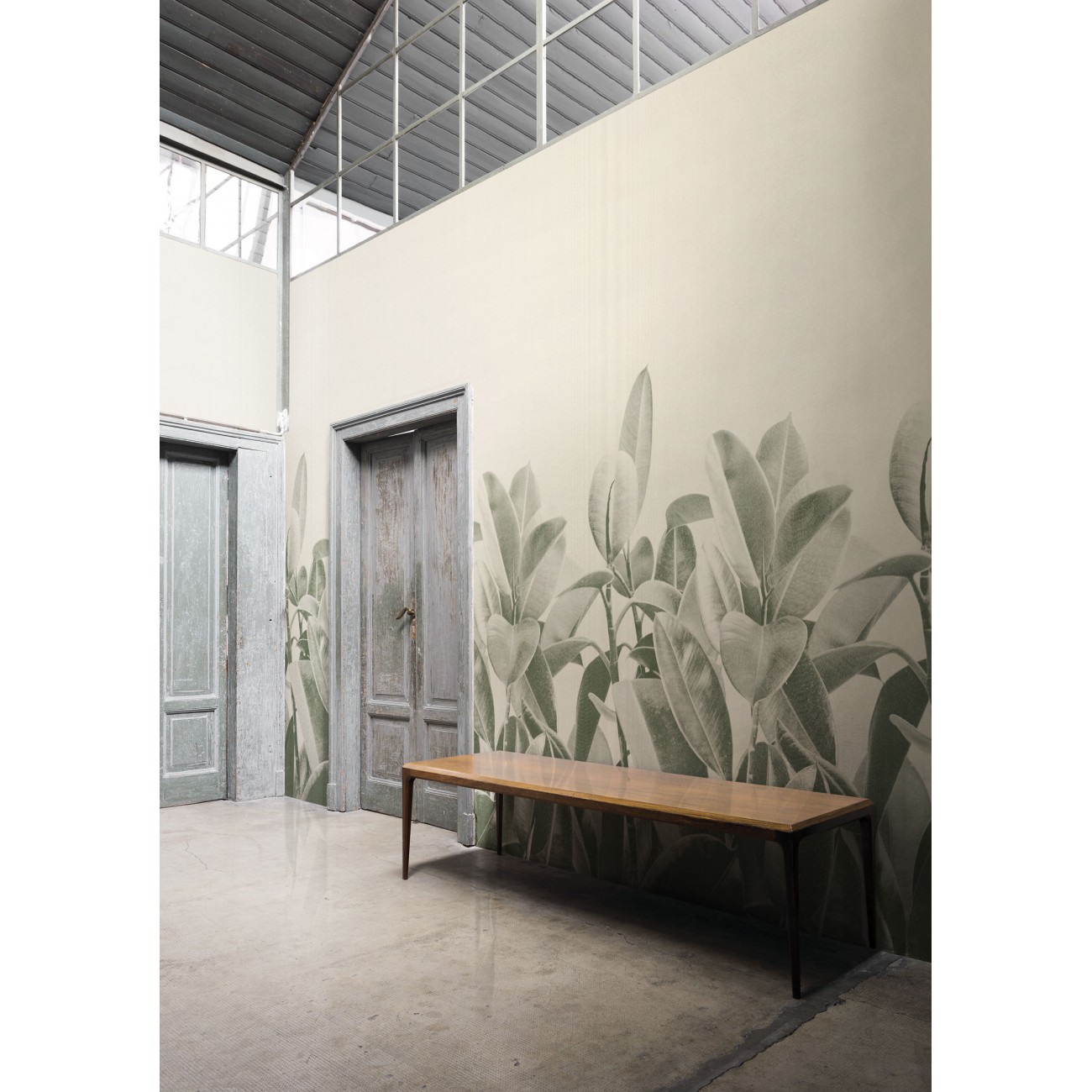 LondonArt RUBBER PLANT 01 Collection 18