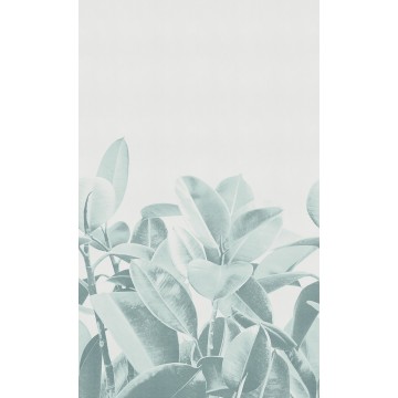 LondonArt RUBBER PLANT 03 Collection 18