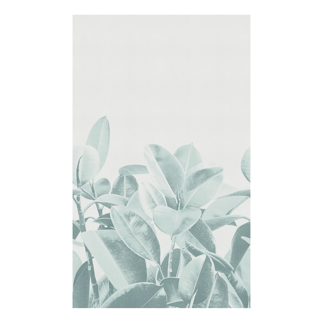 LondonArt RUBBER PLANT 03 Collection 18