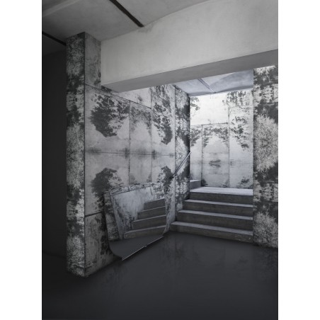 LondonArt MIRROR LAKE 02 Collection 18