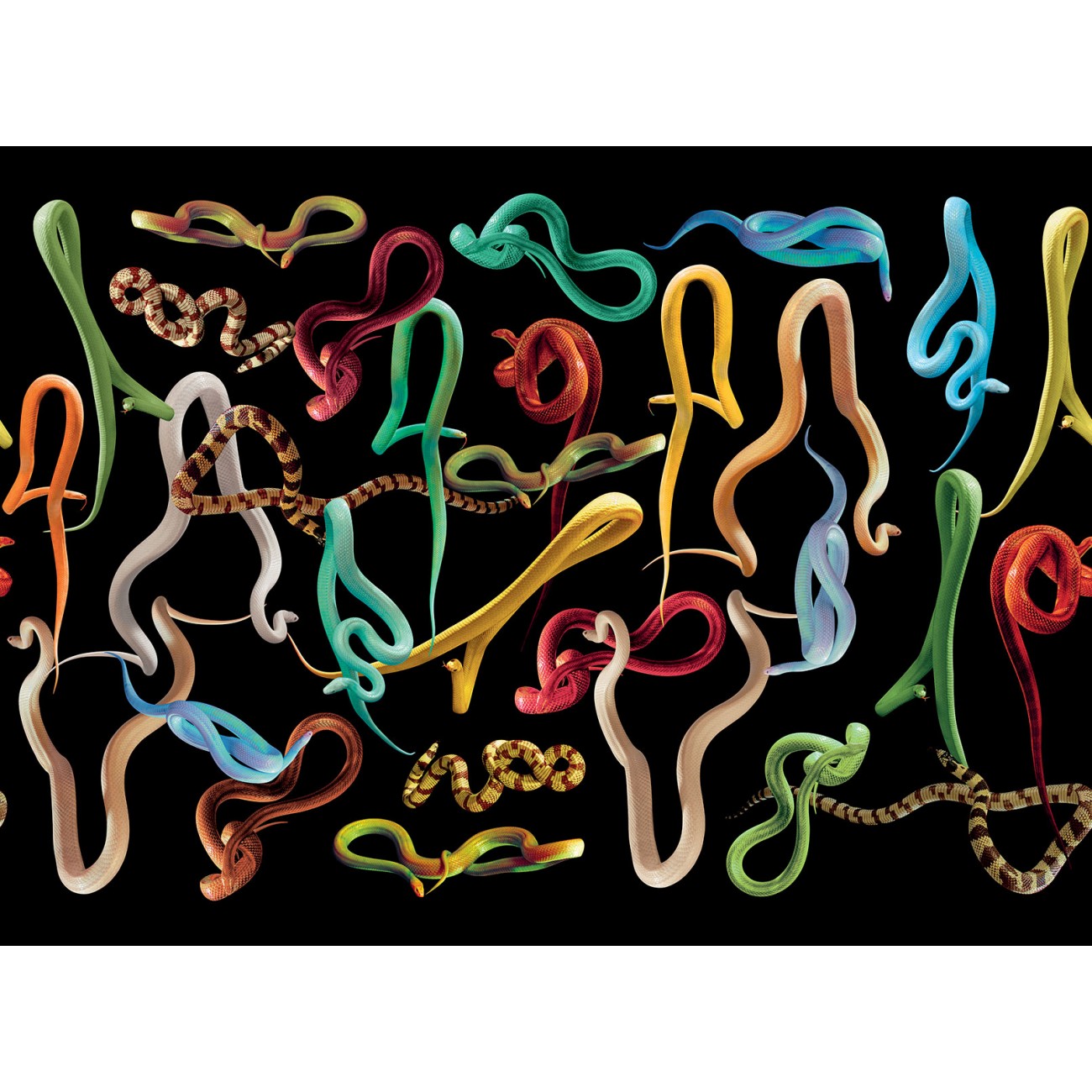 LondonArt SNAKES STORM 01 Collection Luxury Shit