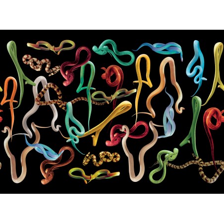 LondonArt SNAKES STORM 01 Collection Luxury Shit