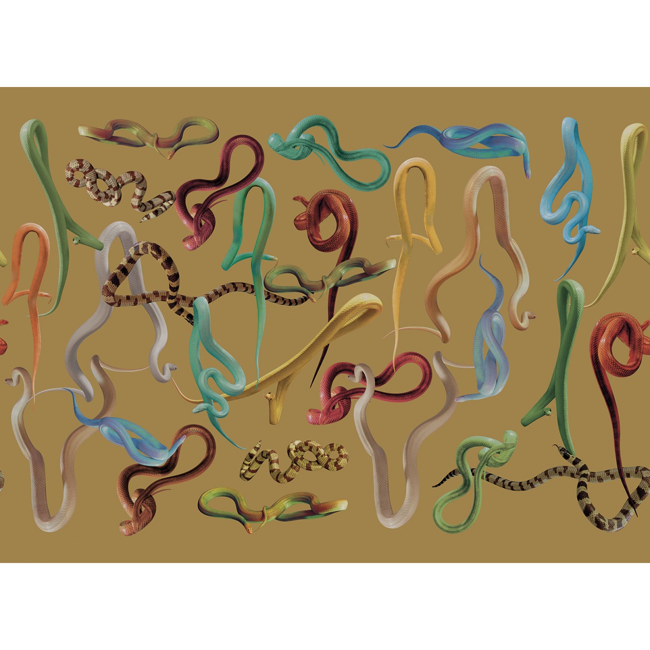 LondonArt SNAKES STORM 02 Collection Luxury Shit