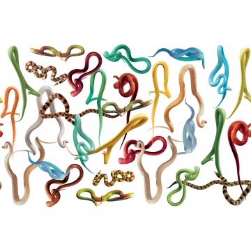 LondonArt SNAKES STORM 03 Collection Luxury Shit