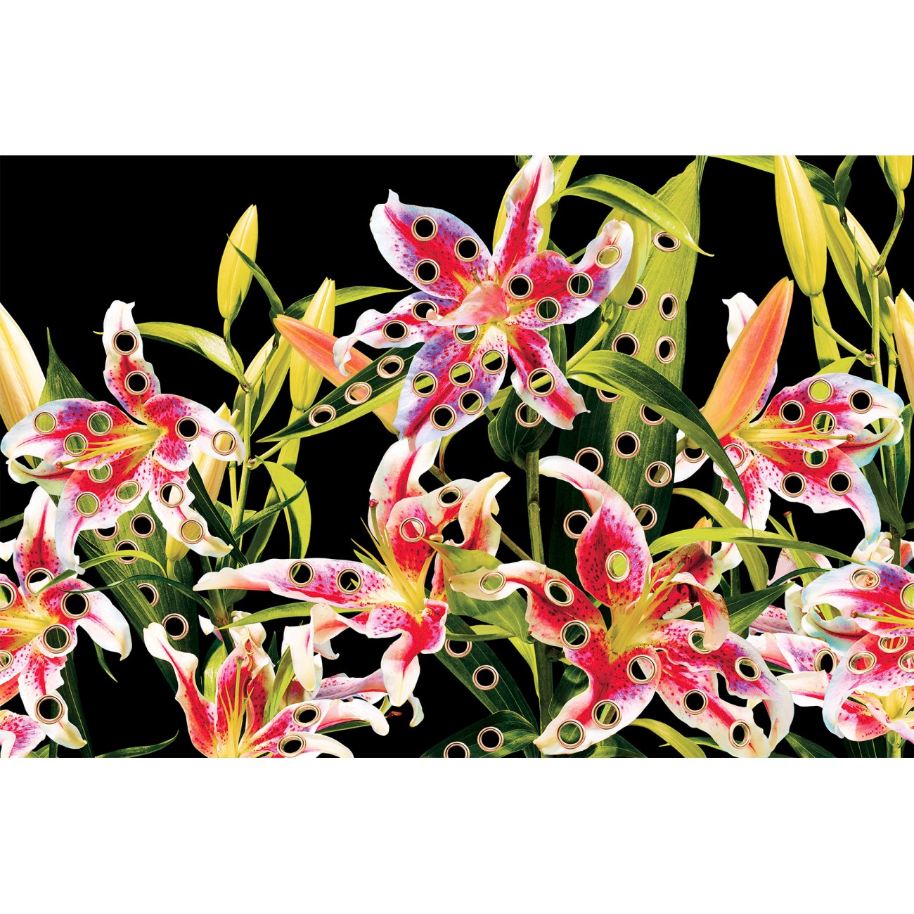 LondonArt HOLES OF PARADISE 03 Collection Luxury Shit