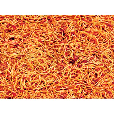 LondonArt KITCHEN CONFIDENTIAL 01 Collection Luxury Shit