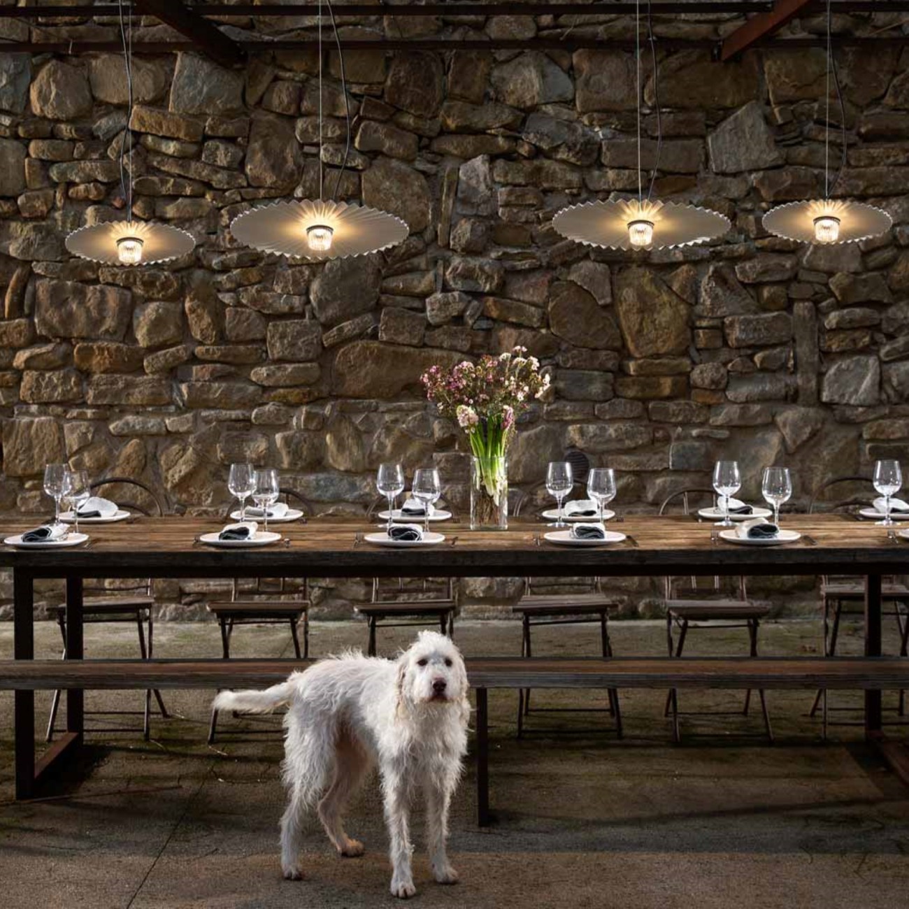 Karman Gonzaga Suspensions