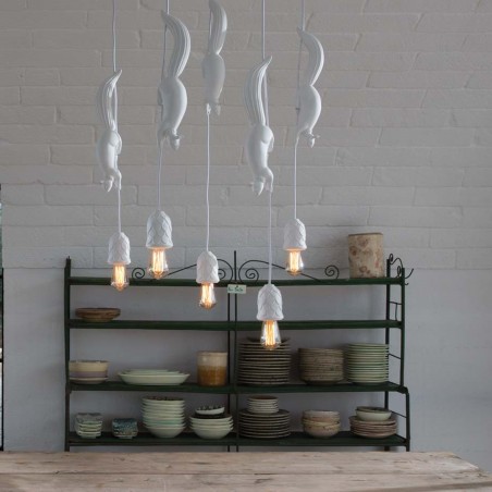 Karman Sherwood e Robin Suspensions