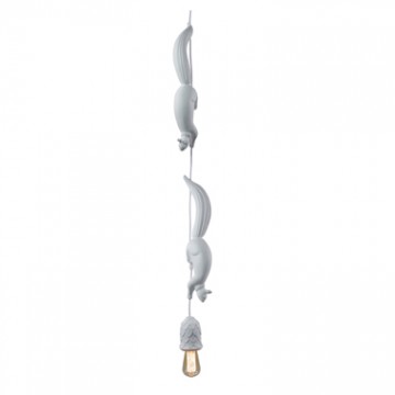 Karman Sherwood e Robin Suspensions